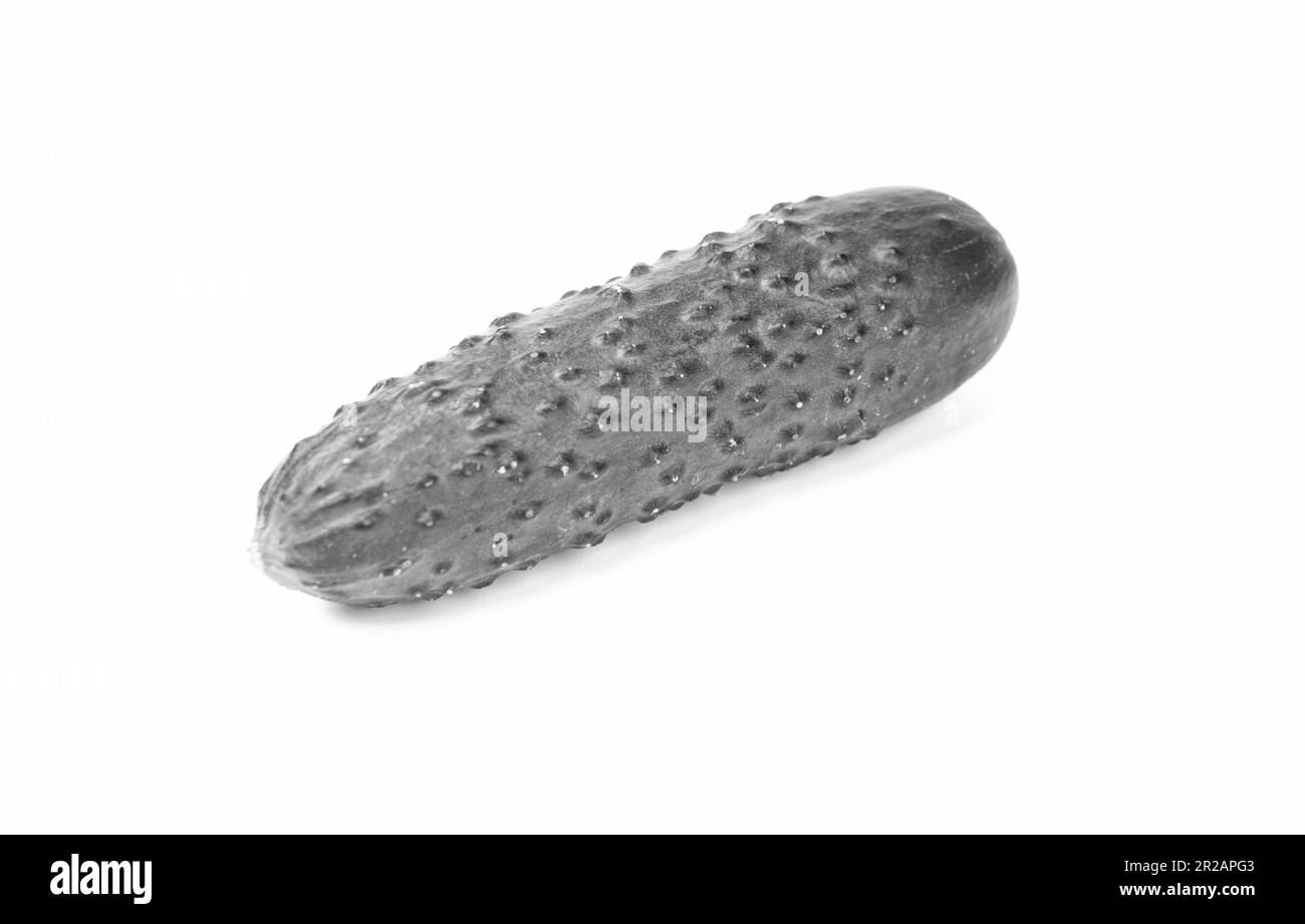 Fresco intero organico cetriolo vegetale isolato su bianco Foto Stock