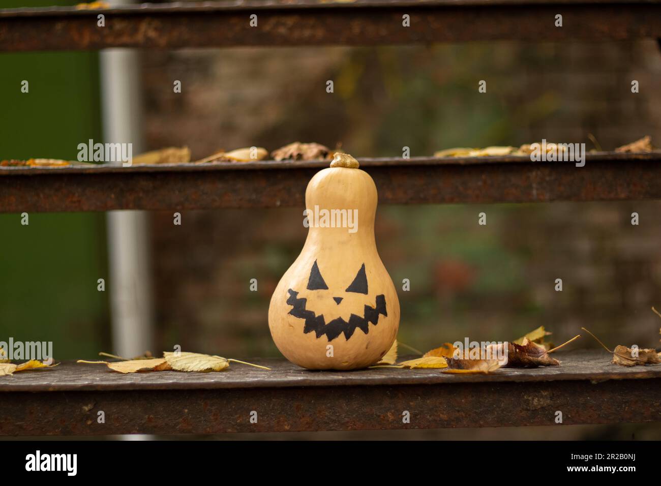 la zucca dipinta si stinge su fasi di ferro in foglie d'autunno asciutte preparazione per halloween, zucca per halloween Foto Stock