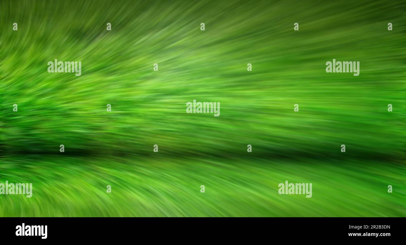 Erba verde motion blur sfondo naturale. Estate Foto Stock