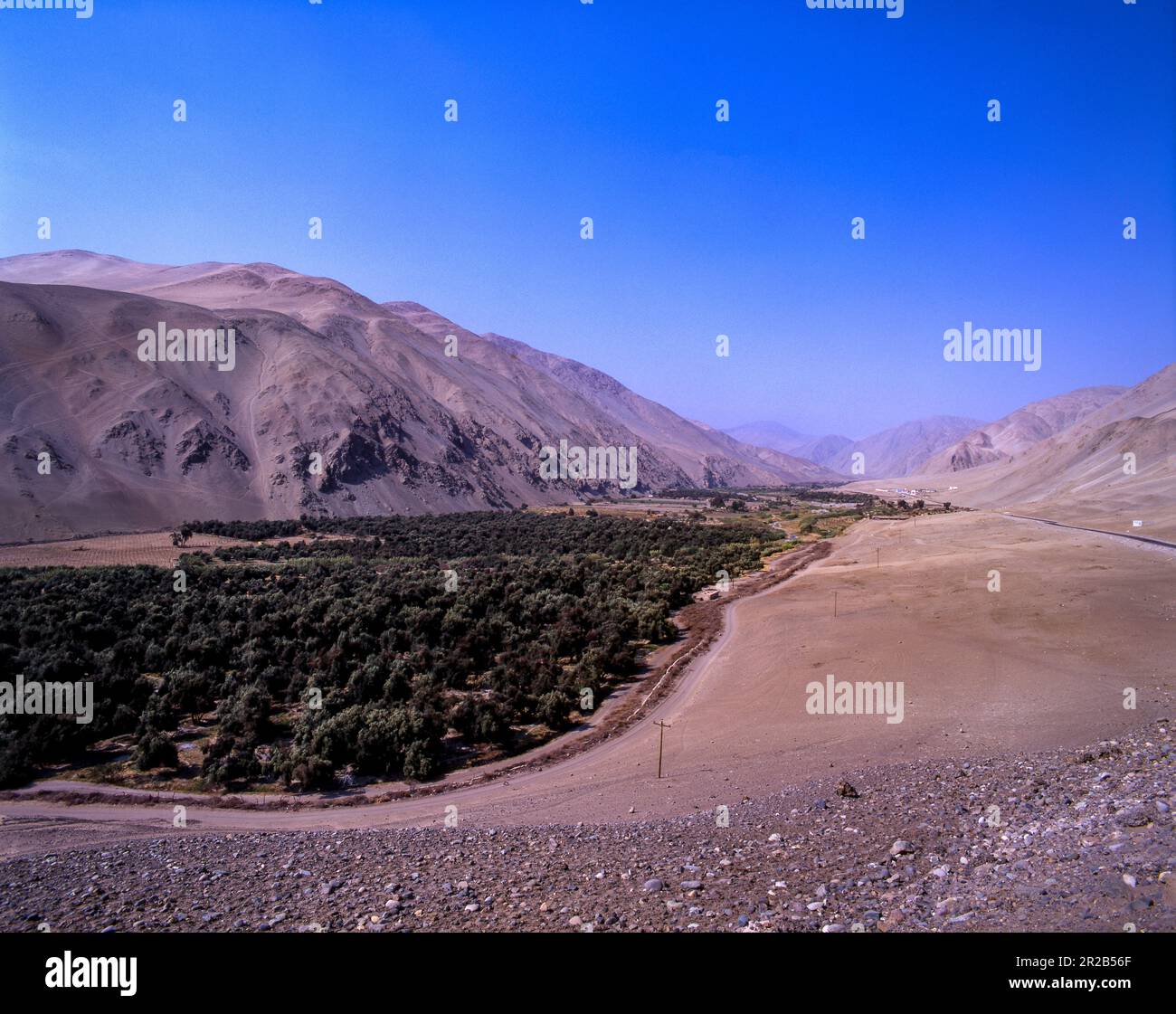 Peru.Moquegua.Osmore River Valley.El Algarrobal. Foto Stock