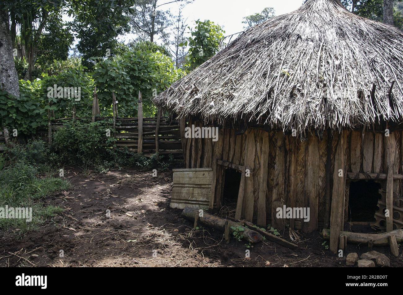 PNG, Papua Nuova Guinea; Highlands orientali; Goroka; capanna di maiale - piccolo pigsty - nel cespuglio; Schweinehütte - kleiner Schweinestall - im Busch Foto Stock