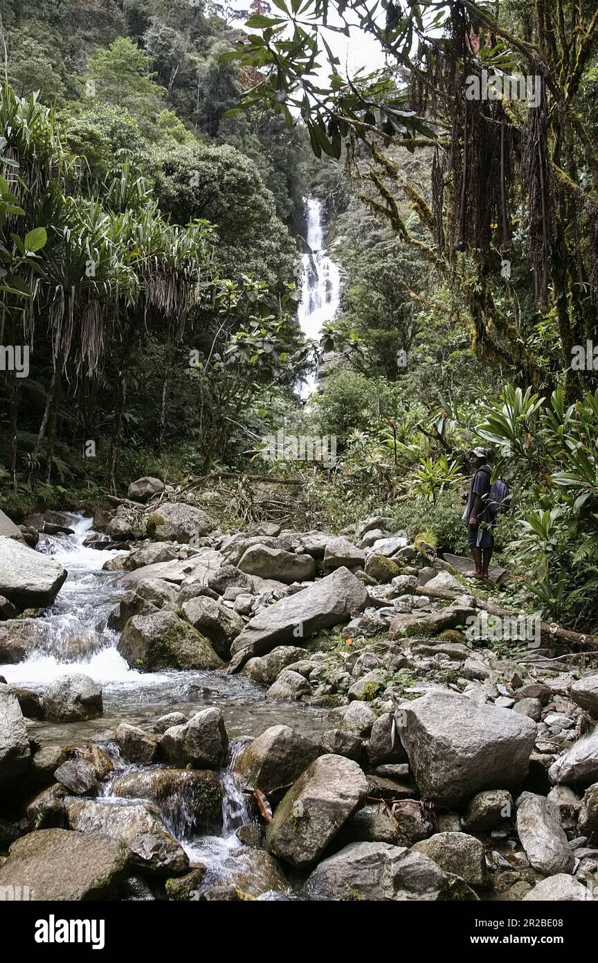 PNG, Papua Nuova Guinea; Highlands orientali; Goroka; Una piccola cascata su un fiume nelle montagne selvagge di Papua; Wasserfall in den wilden Bergen Papuas Foto Stock