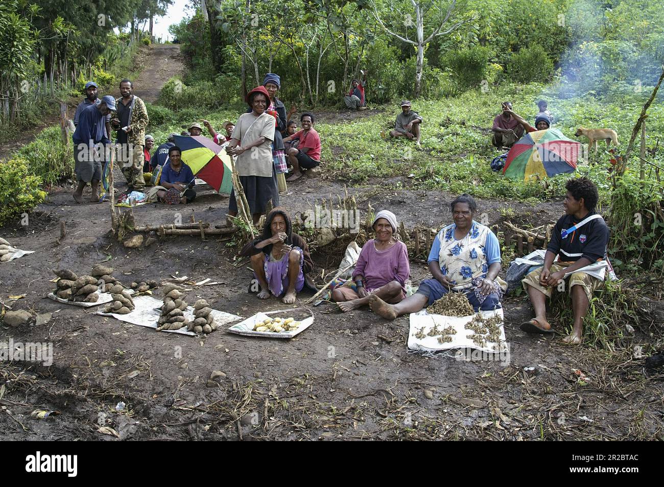 Papua Nuova Guinea; Eastern Highlands; Goroka; Papuans vendono frutta in una stalla stradale; Papua verkaufen Obst an einem Straßenstand; przydrożny stragan Foto Stock