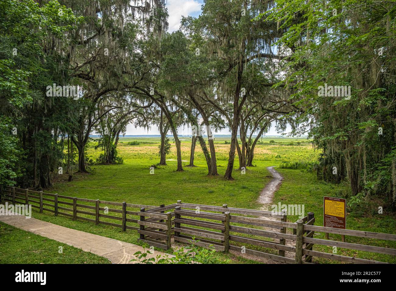 Centro visitatori, area di osservazione presso il Paynes Prairie Preserve state Park di Micanopy, Florida, vicino a Gainesville, Florida. (USA) Foto Stock