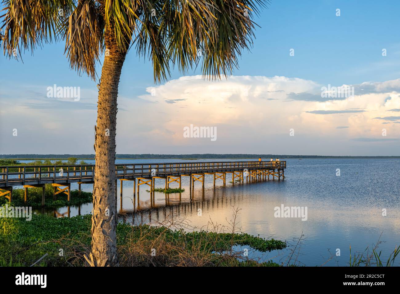 Passeggiata panoramica sull'Ecopassage presso il Paynes Prairie Preserve state Park lungo gli Stati Uniti Autostrada 441 a Micanopy, Florida, vicino a Gainesville al tramonto. (USA) Foto Stock