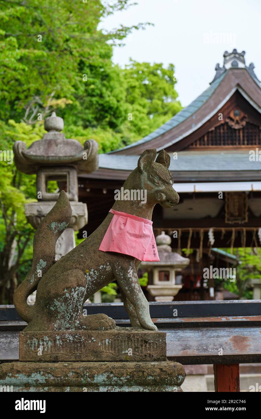 Inari volpe o kitsune al Santuario Takenaka Inari Shinto a Kyoto, Giappone. Foto Stock