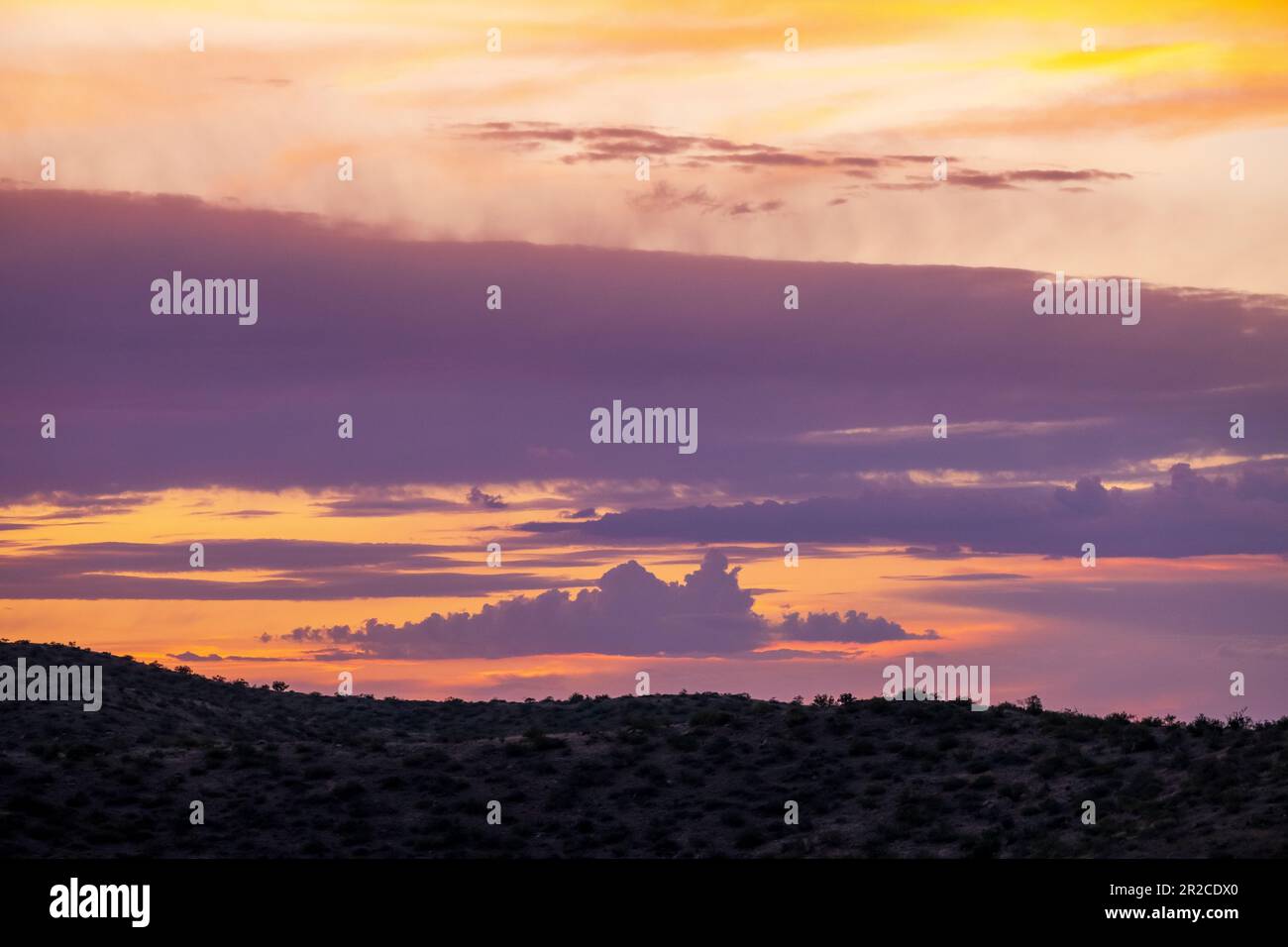 Cielo serale sull'Arizona Trail a Oracle, Arizona, USA Foto Stock