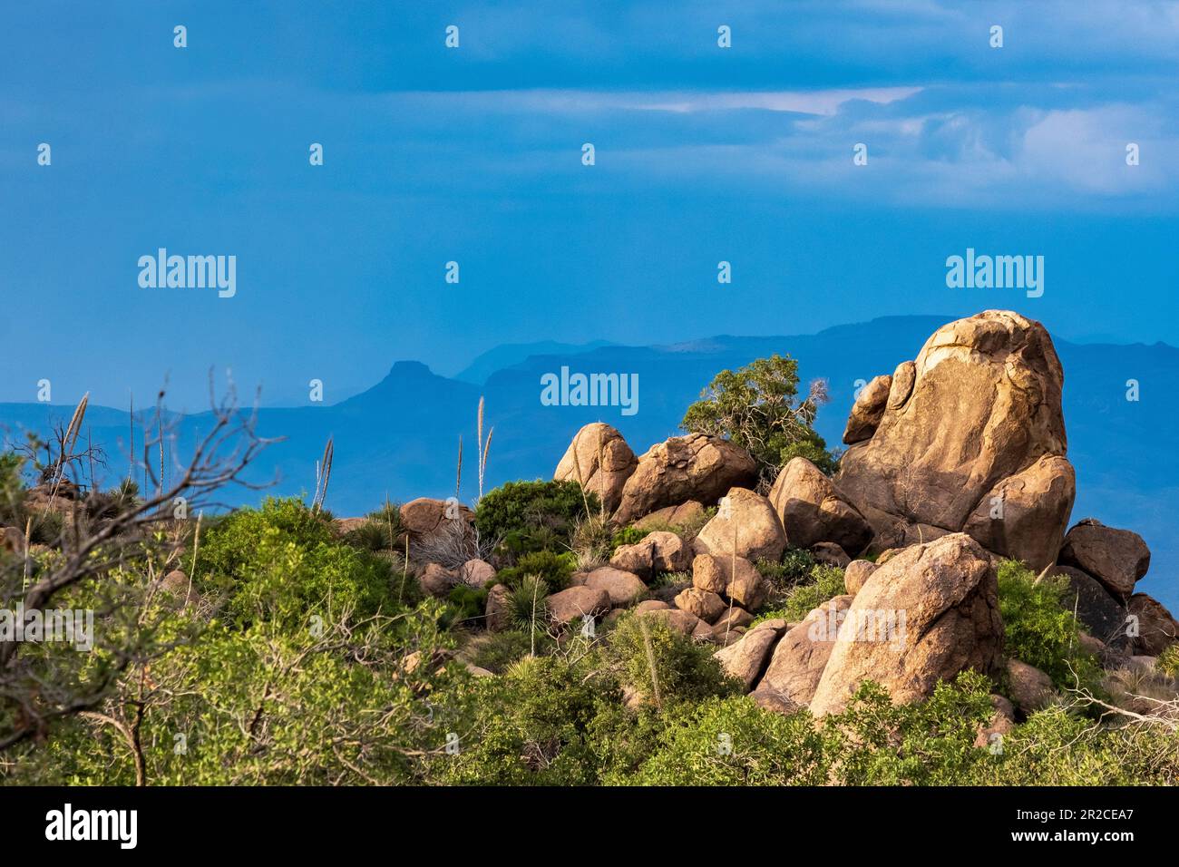 Rocce e cielo blu dopo una tempesta di temporali, Oracle state Park, vicino a Tucson, Arizona, Stati Uniti Foto Stock