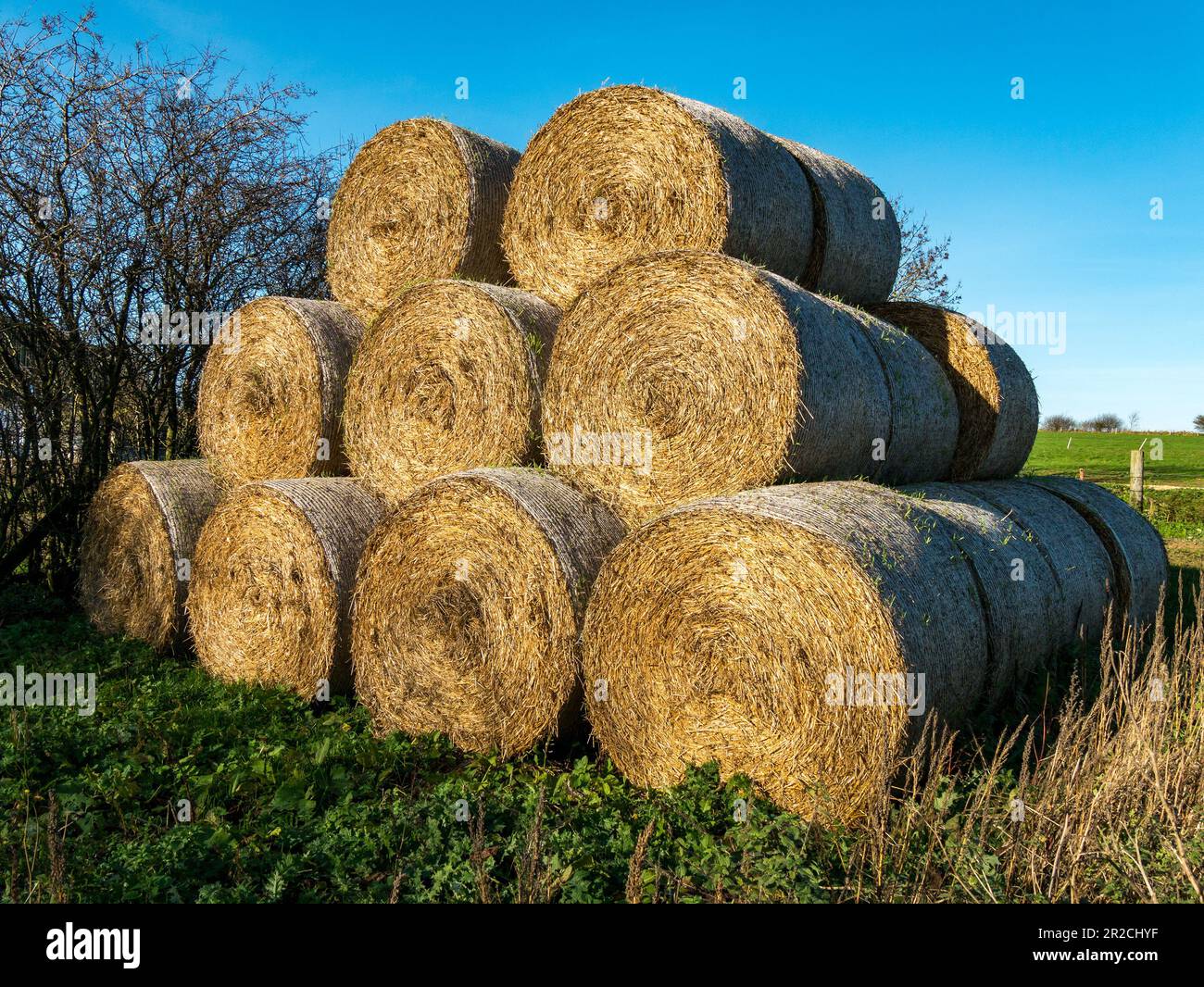 Balle circolari immagini e fotografie stock ad alta risoluzione - Alamy