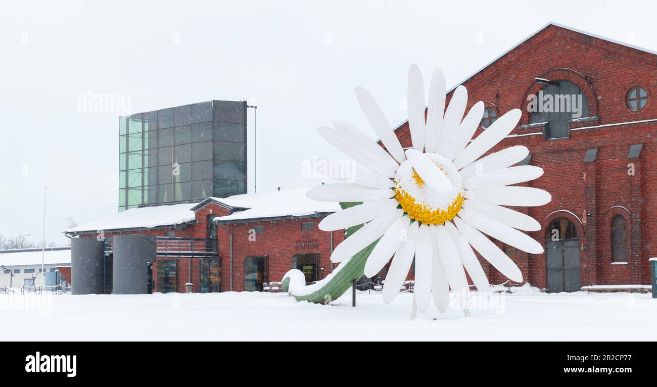 Turku, Finlandia - 17 gennaio 2016: Installazione di fiori di camomilla giganti di fronte al museo Forum Marinum in una giornata invernale Foto Stock