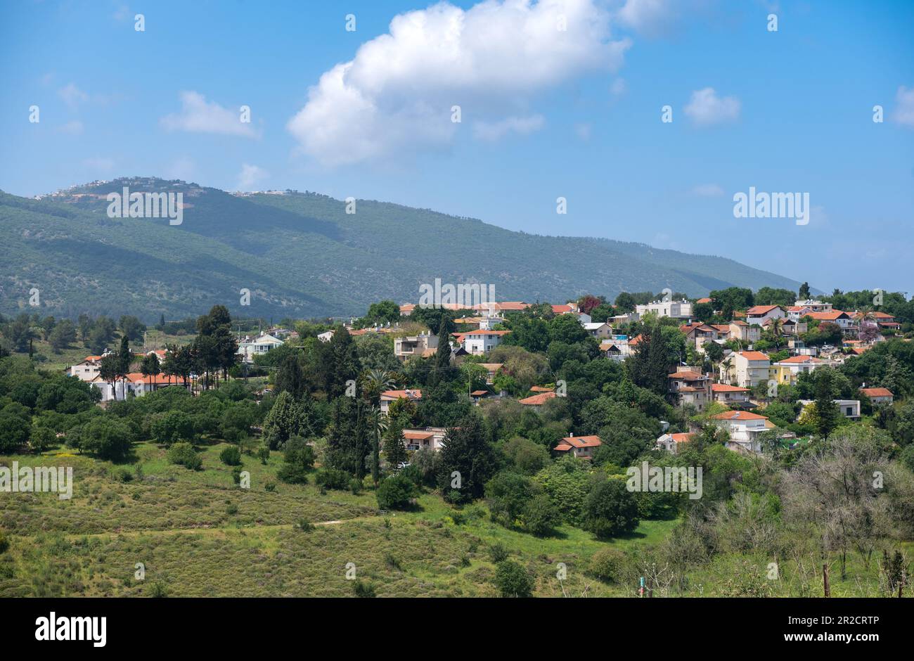 Una vista sulla città di Kiryat-Tivon e sul Monte Carmelo sul retro, nella bassa Galilea in Israele. Foto Stock