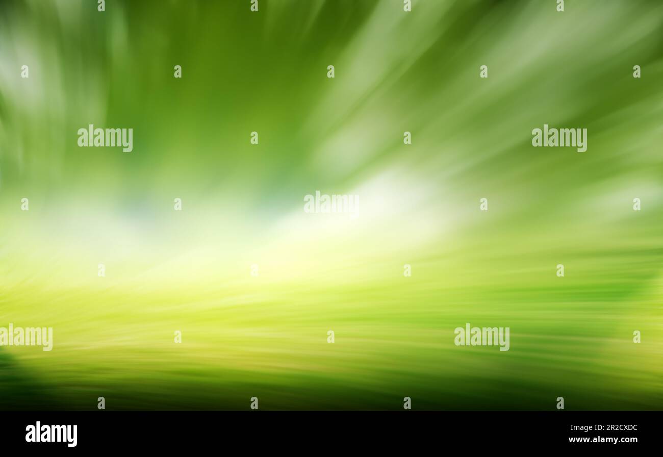 Erba verde motion blur sfondo naturale. Estate Foto Stock