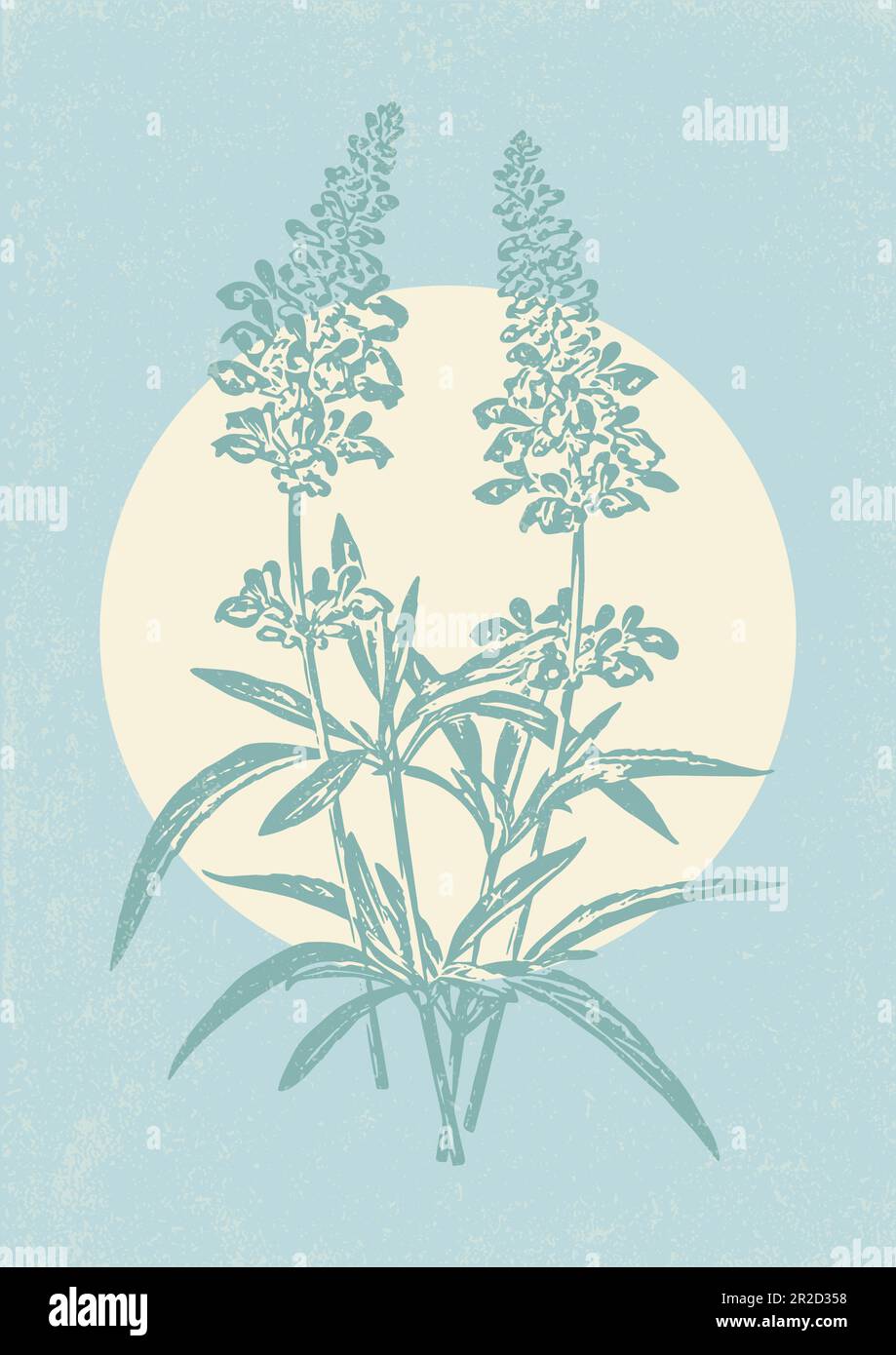 Poster blu con illustrazione dell'inchiostro a branca di salvia a fiori. Arte botanica neutra Illustrazione Vettoriale