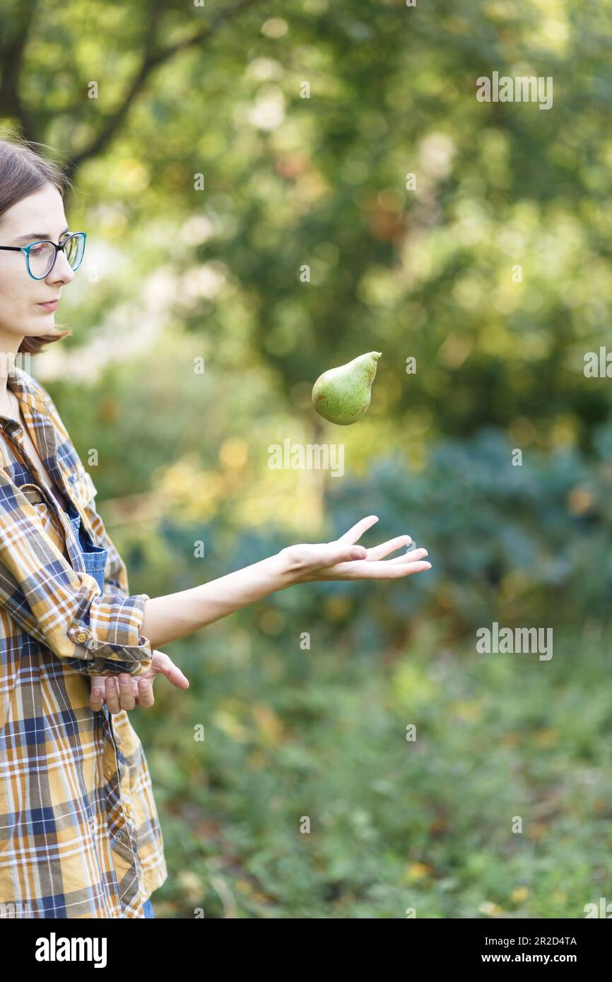 La ragazza contadina che tiene la pera grande verde in fattoria verde al tramonto Foto Stock