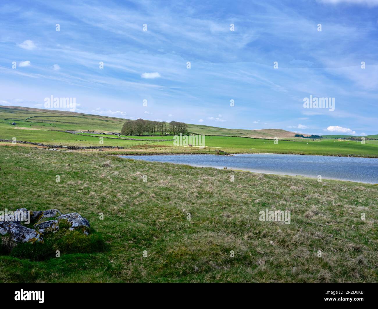 La porta chiusa all'estremità meridionale di Malham Tarn. North Yorkshire Foto Stock