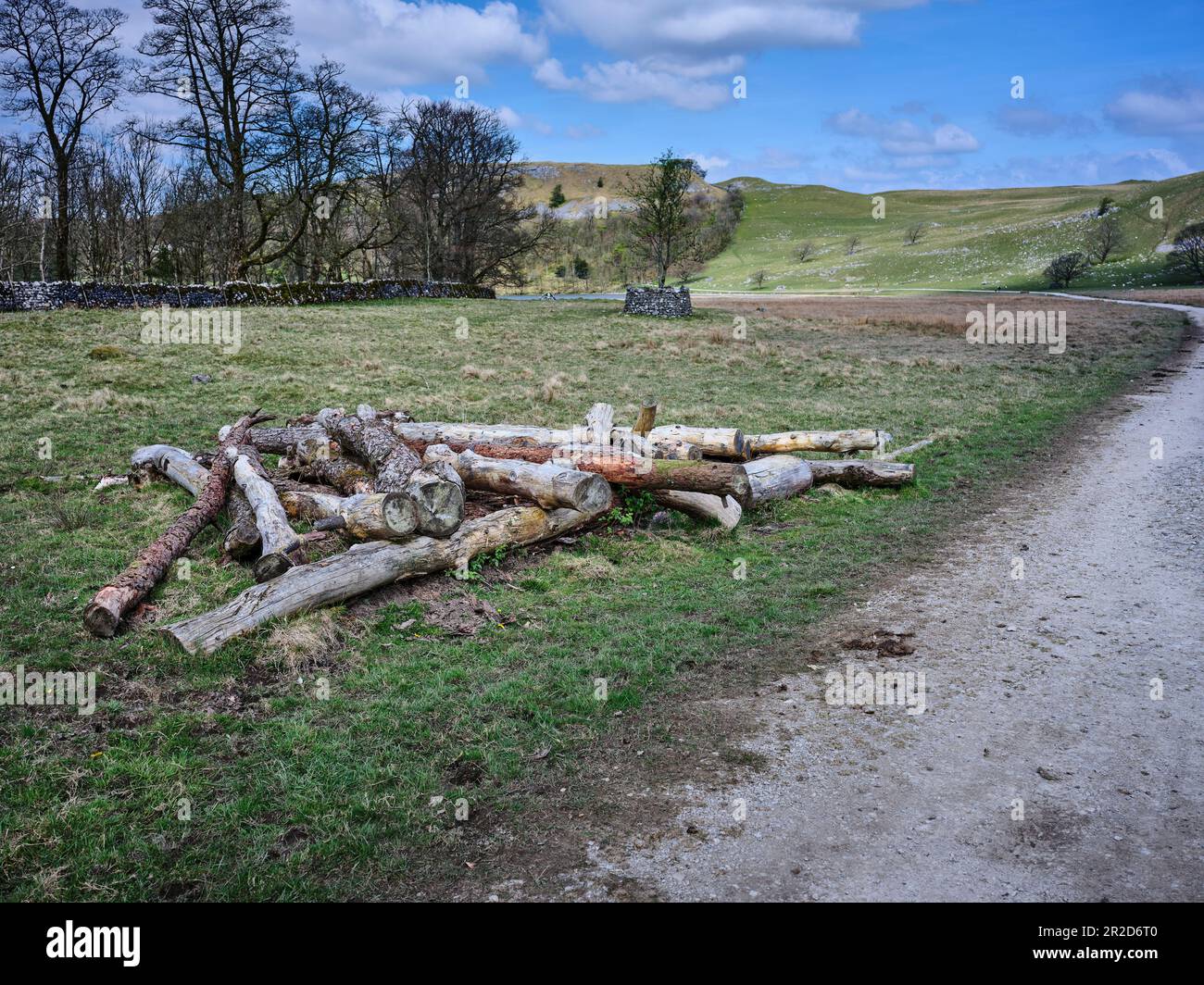 Cumulo di tronchi di albero abbattuto stagionatura all'estremità meridionale di Malham Tarn. North Yorkshire Foto Stock