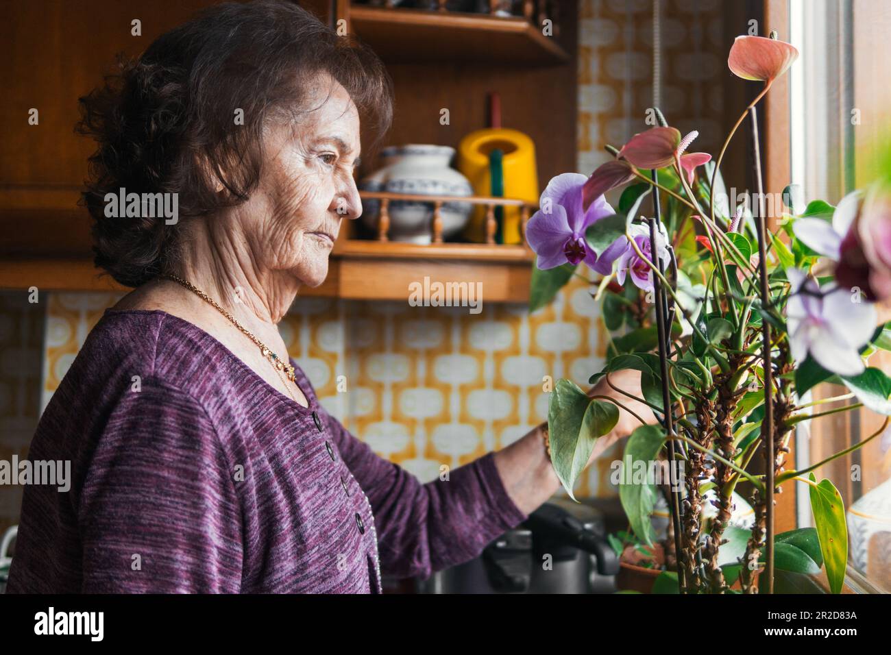 donna anziana che guarda le sue piante di casa Foto Stock