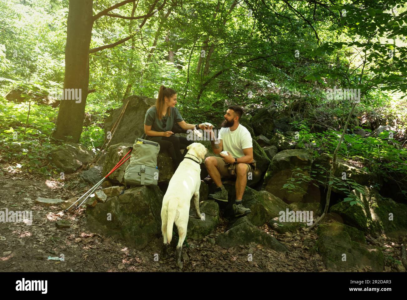 Giovane coppia di buon umore mentre cammina un prato in una bella giornata di sole con il loro cane. Escursioni, natura, rapporto, insieme. Fuga dalla città Foto Stock