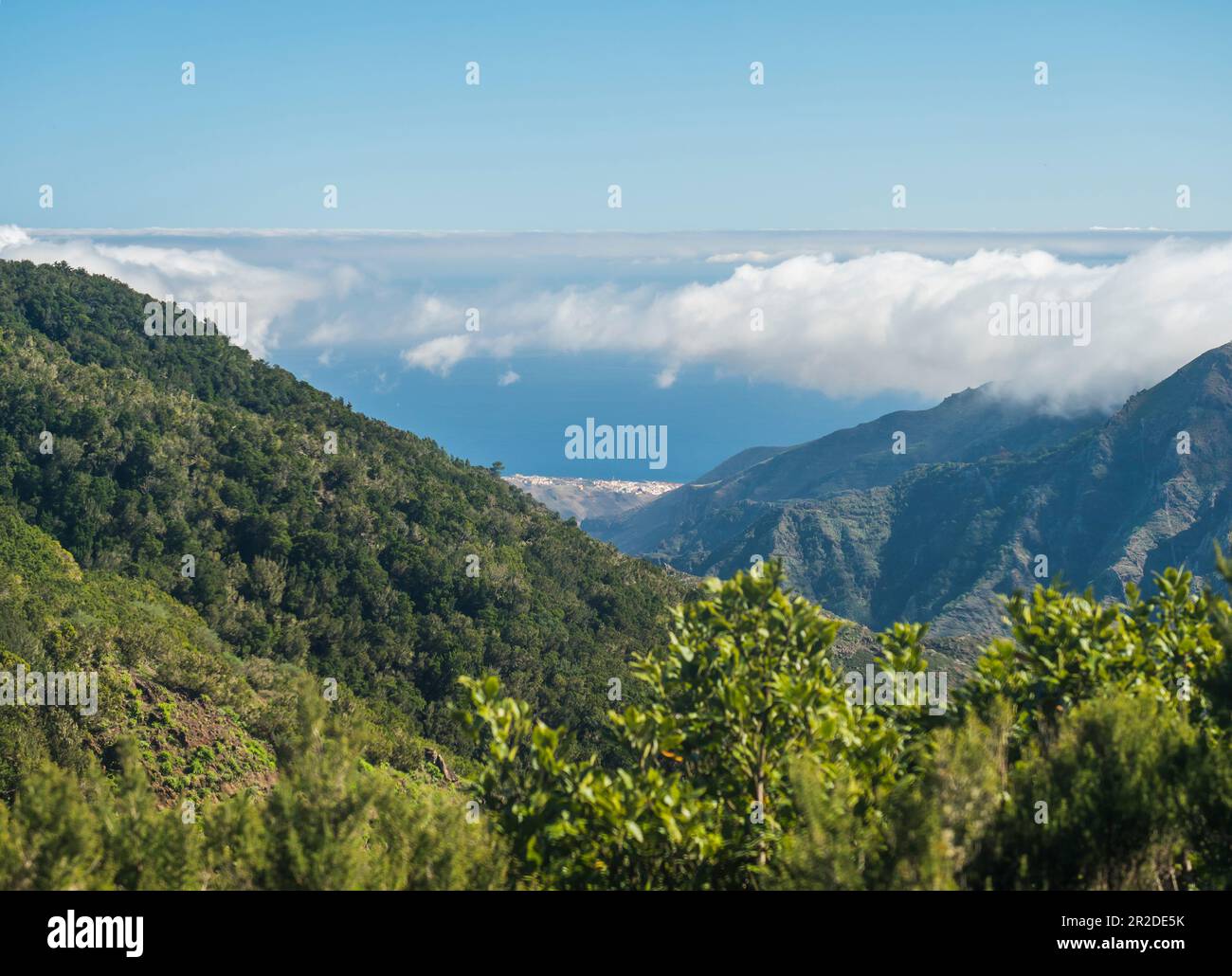 Paesaggio verde panoramico nel Parco Nazionale di Garajonay con vista in lontananza del sentiero escursionistico di San Sebastian de la Gomera dal Mirador de Roque Agando a la Foto Stock