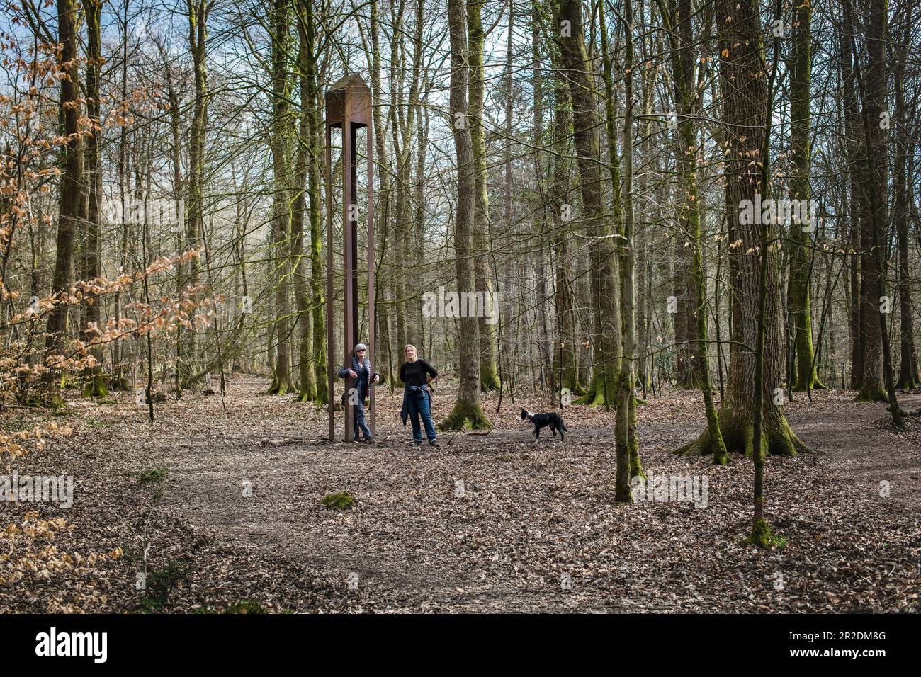 Sculpture Park nella foresta di Dean, sculture nella foresta Gloucestershire artista è Miles Davies Foto Stock