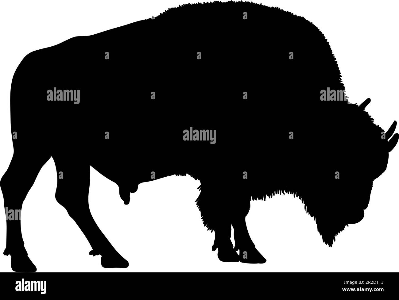 Silhouette di bisonte isolata su sfondo bianco. Illustrazione vettoriale Illustrazione Vettoriale