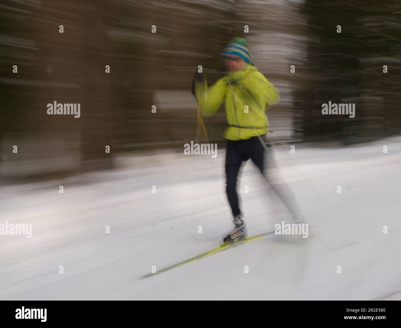 Nordic (sciatore) in azione a Goms, Vallese, Svizzera Foto Stock