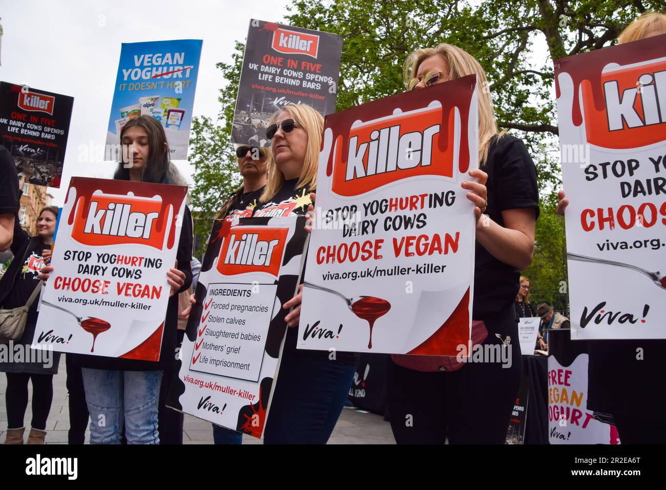 Londra, Regno Unito. 19th maggio 2023. I manifestanti hanno dei cartelli che rifanno di Muller il nome di “Killer” in Leicester Square come parte di una stunt organizzata dal gruppo per i diritti degli animali Viva! Aumentare la consapevolezza delle condizioni delle aziende lattiero-casearie a pascolo zero in cui le mucche sono tenute, che dicono fornire prodotti alle grandi aziende lattiero-casearie Muller e Arla. Credit: Vuk Valcic/Alamy Live News Foto Stock