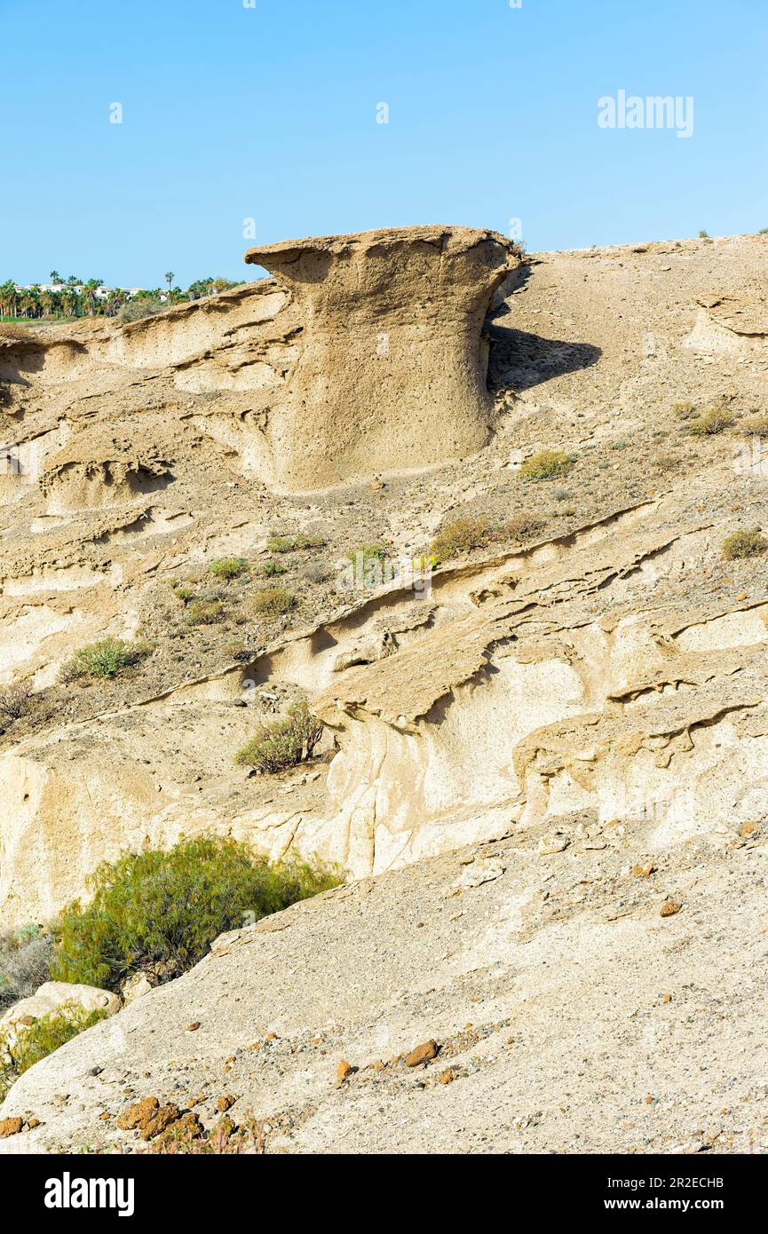 Riserva ambientale San Blas, San Miguel de Abona, Tenerife, Isole Canarie, Spagna Foto Stock