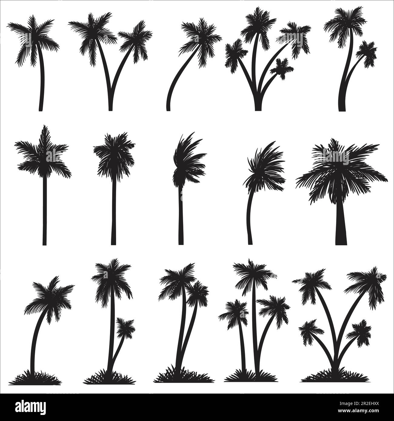 Silhouette Palm tree Set di illustrazioni vettoriali per la collezione per la propria azienda o marca Illustrazione Vettoriale