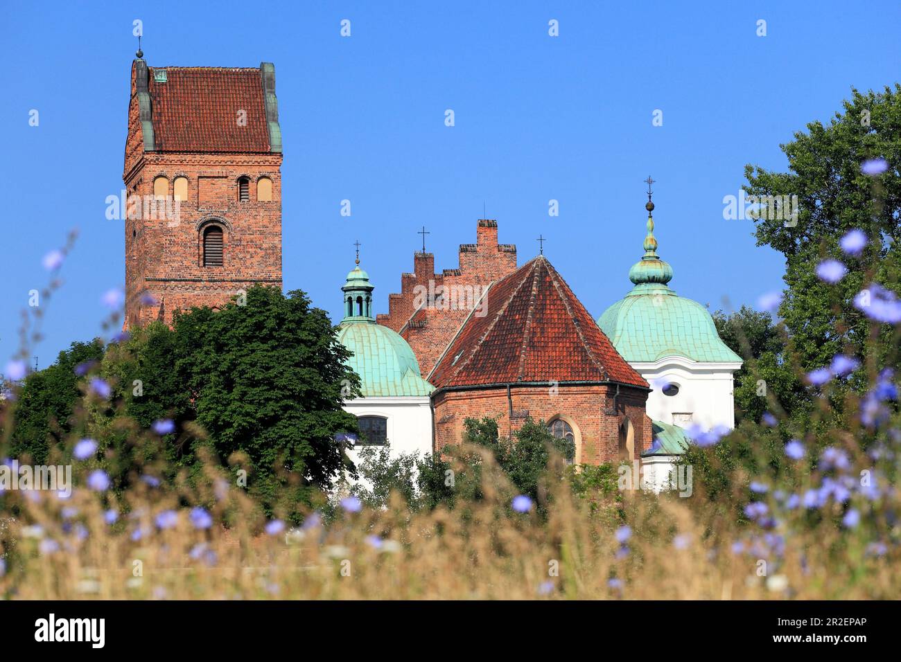 Chiesa gotica della Visitazione della Beata Vergine Maria, uno degli edifici più antichi di Varsavia, centro storico, Varsavia, Mazovia, Polonia, Europa Wa Foto Stock