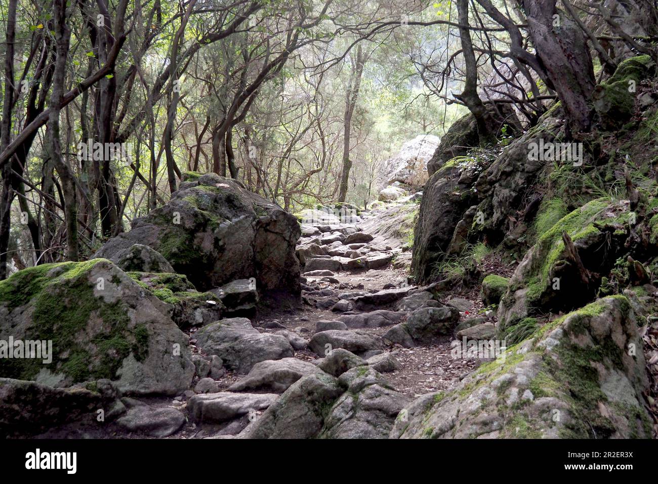 Scalini di pietra a Sentier de la Spilonca vicino ad Ota, negli altopiani tra Evisa e Porto, Corsica occidentale, Francia Foto Stock