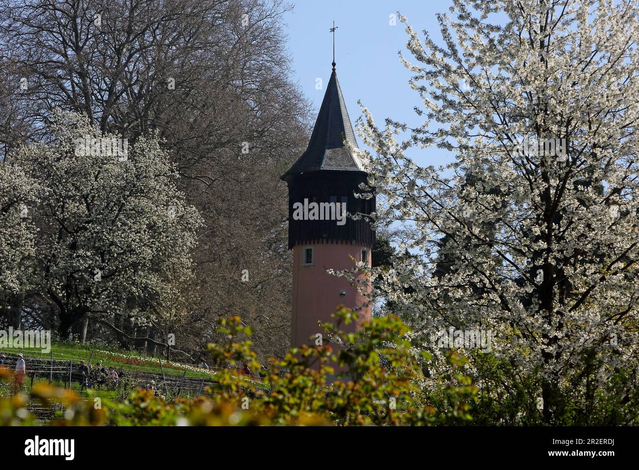 Schwedenturm, Insel Mainau, Lago di Costanza, Baden-Württemberg, Germania Foto Stock