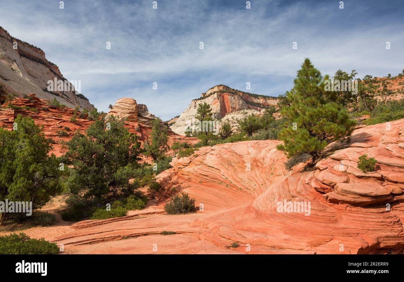 Rocce rosse con vegetazione verde nel Parco Nazionale di Zion, USA Foto Stock