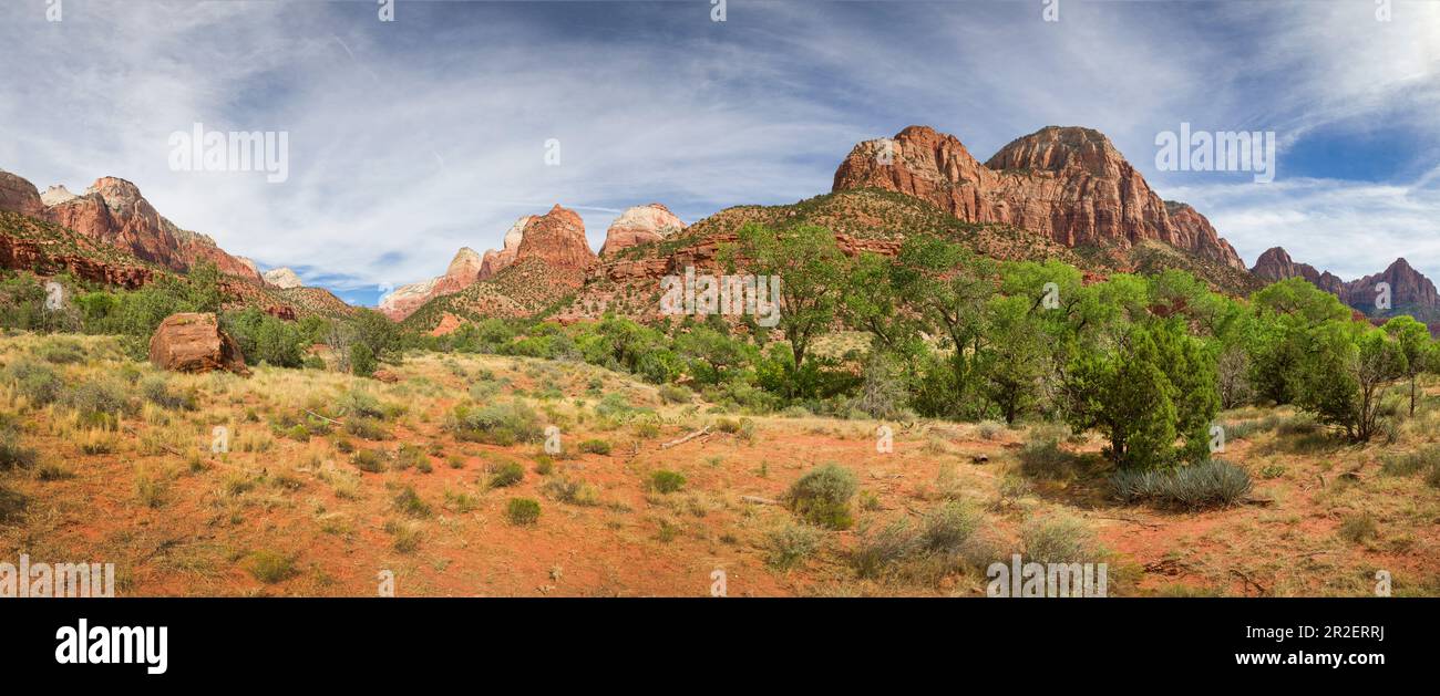 Montagne rosse con vegetazione verde nel Parco Nazionale di Zion, USA Foto Stock