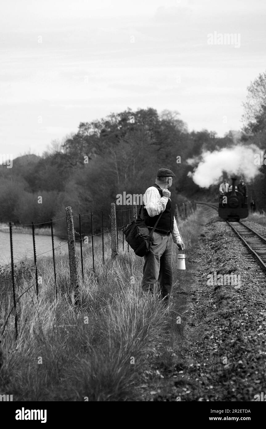 Re-enattore e 'Winifred' con un treno di carri ardesia vicino Pentrepiod Halt. Foto Stock