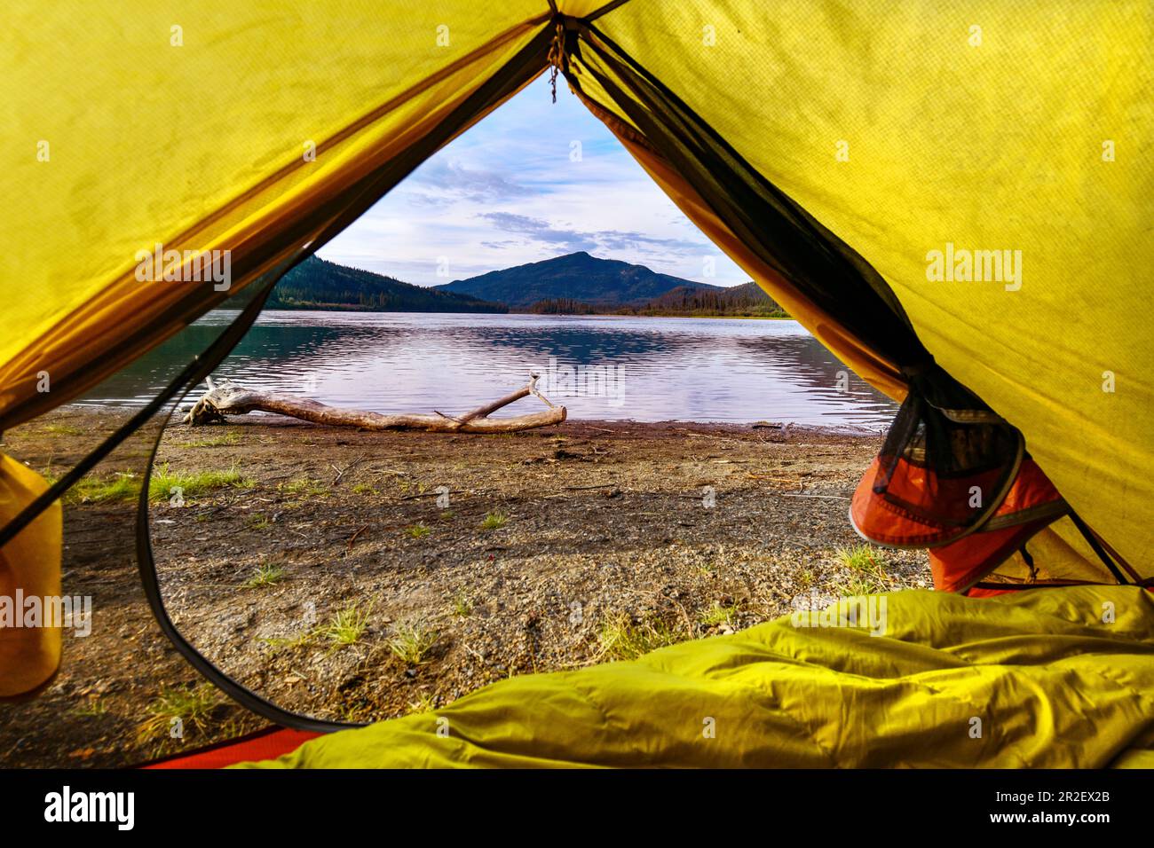 Vista sul fiume Yukon dalla tenda gialla. Yukon, Canada; Whitehorse Foto Stock