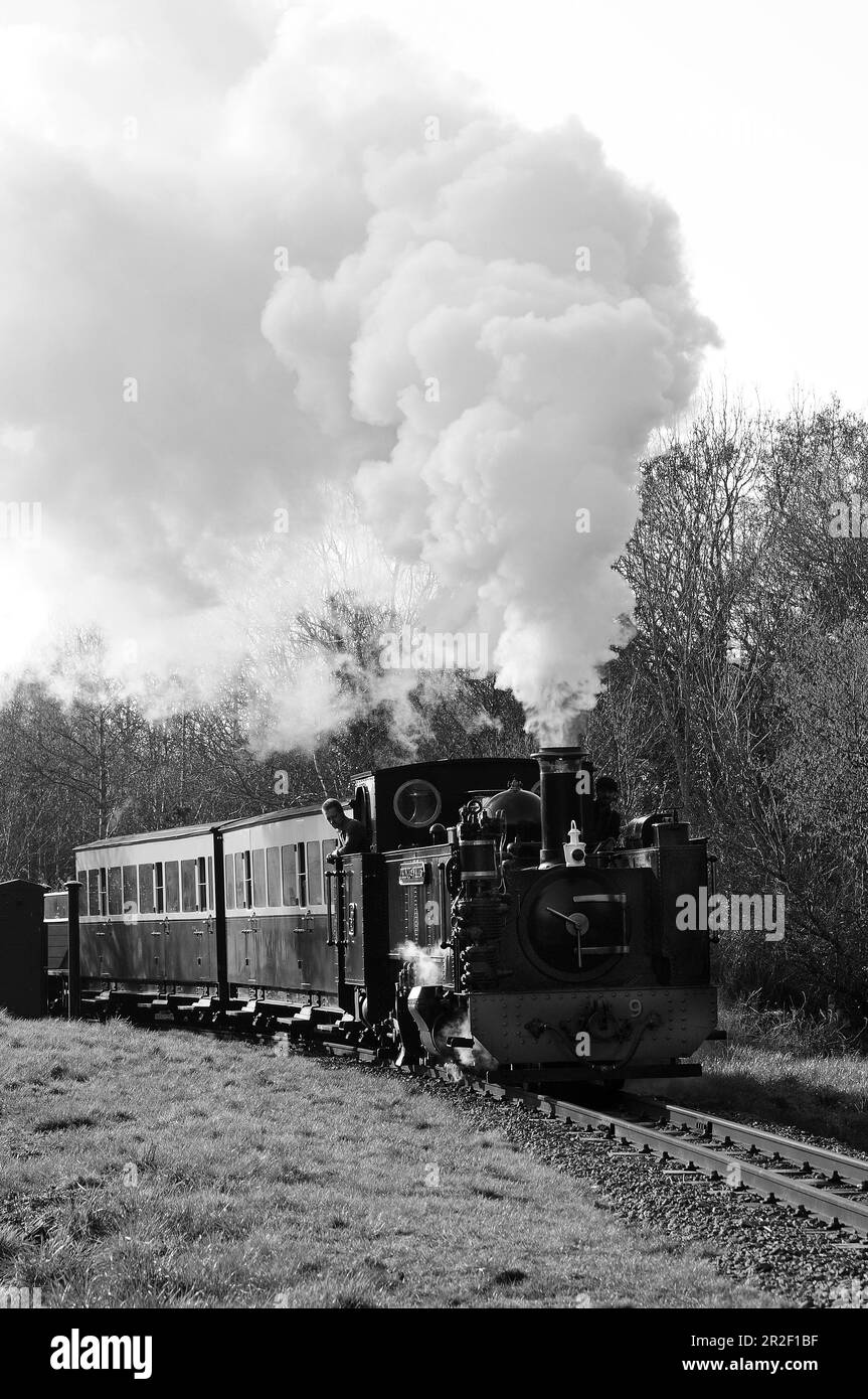 Il "Principe del Galles" a Glanyrafon si ferma con un treno misto. Foto Stock