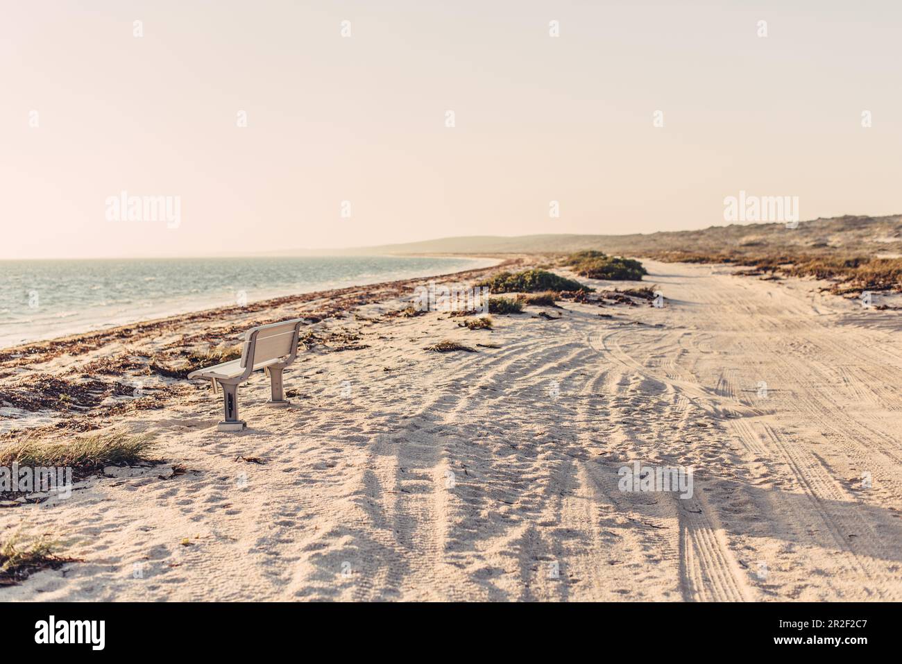 Panchina sulla spiaggia in Australia Occidentale, Australia, Oceania; Foto Stock