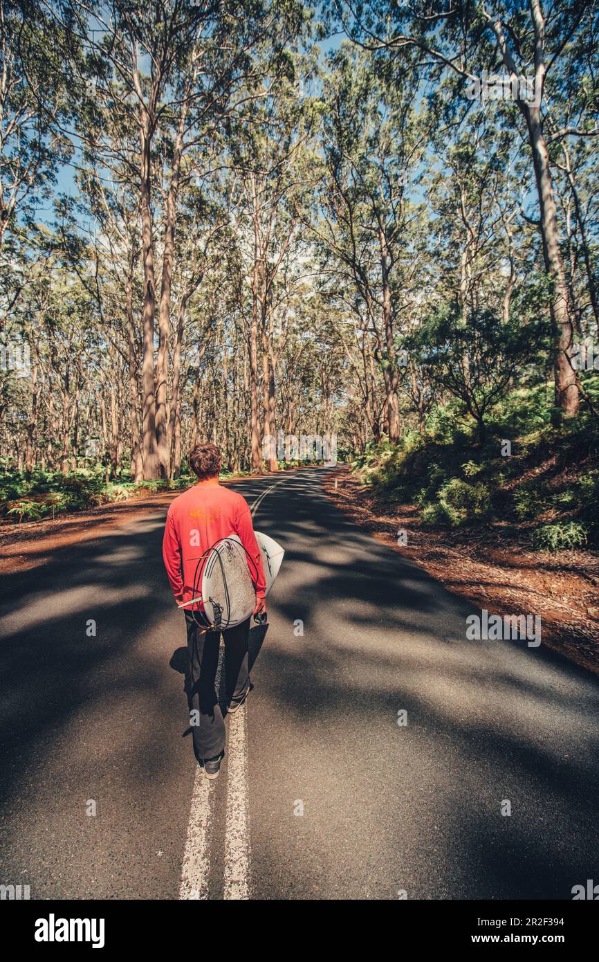 Il surfista cammina nella foresta di Boranup nel fiume Margaret, Australia Occidentale, Australia, Oceania Foto Stock
