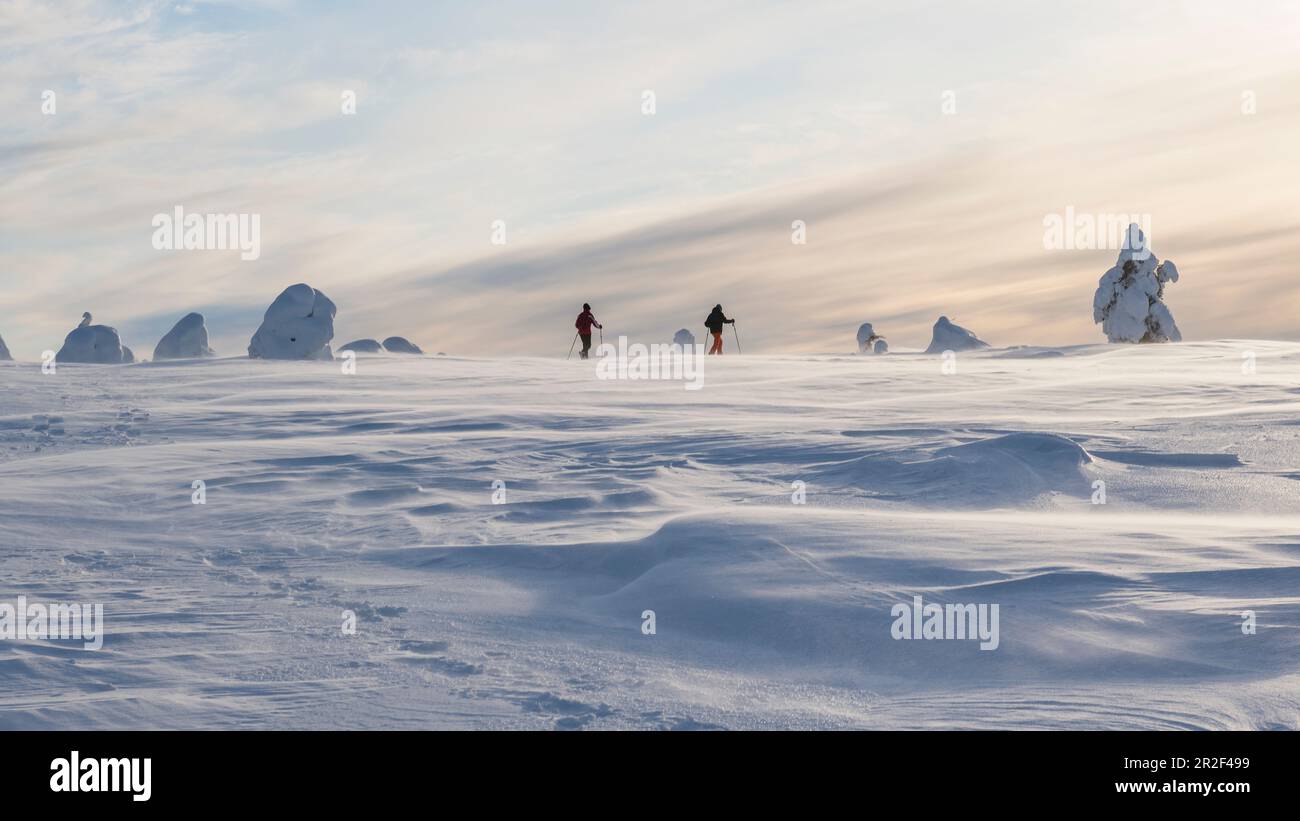 Racchette da neve nel Parco Nazionale di Pyhä-Luosto, Finlandia Foto Stock
