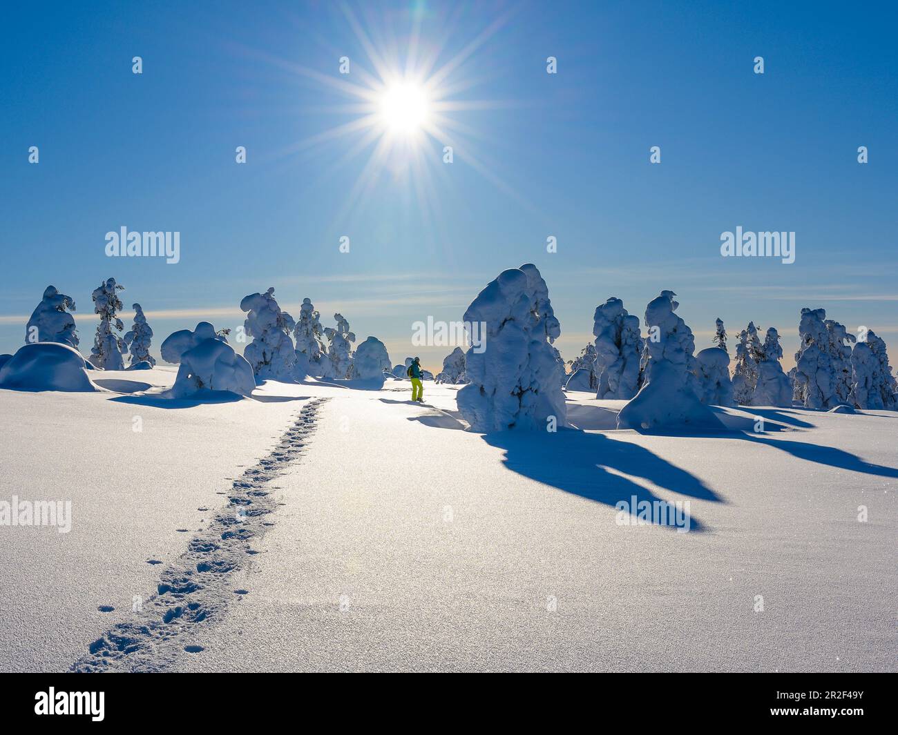 Racchette da neve nel Parco Nazionale di Pyhä-Luosto, Finlandia Foto Stock