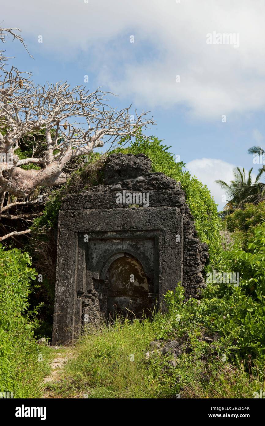 Rovine nei terreni di Temple Point Resort, Mida Creek, Watamu, Malindi, Kenya Foto Stock