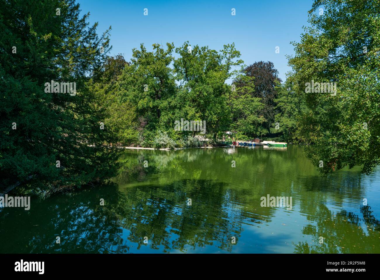 Piccolo lago nel giardino di palme a Francoforte, Germania Foto Stock