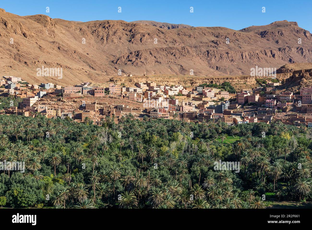 Vista della città oasi di Thingir, Marocco Foto Stock