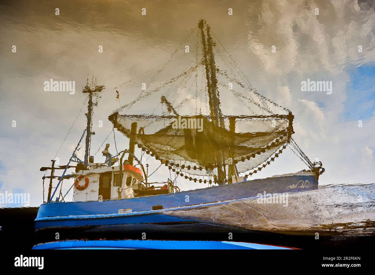 Granchio nel porto del Mare del Nord, Dorum, bassa Sassonia, Germania Foto Stock