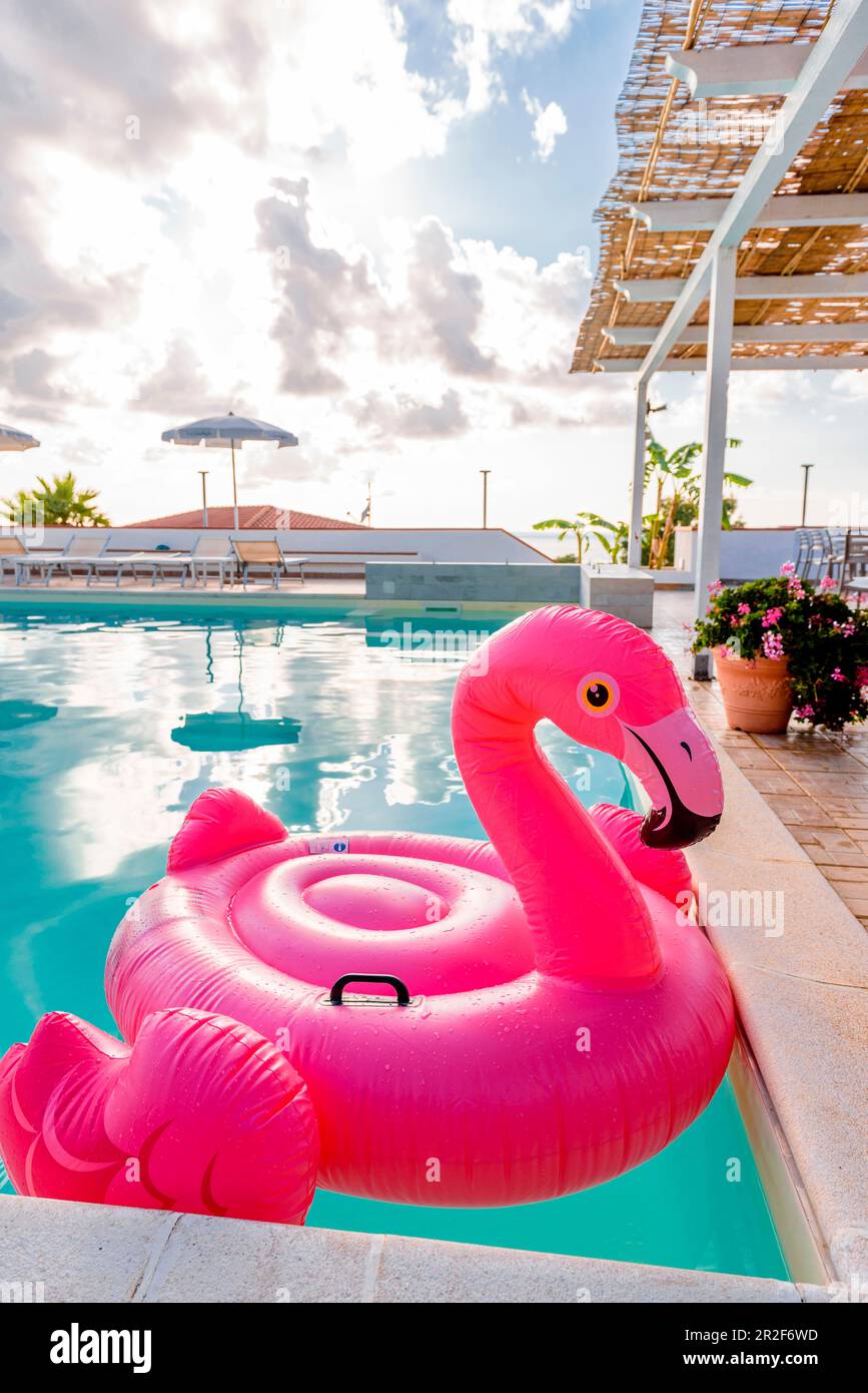Fenicottero in plastica in piscina, Italia Foto Stock
