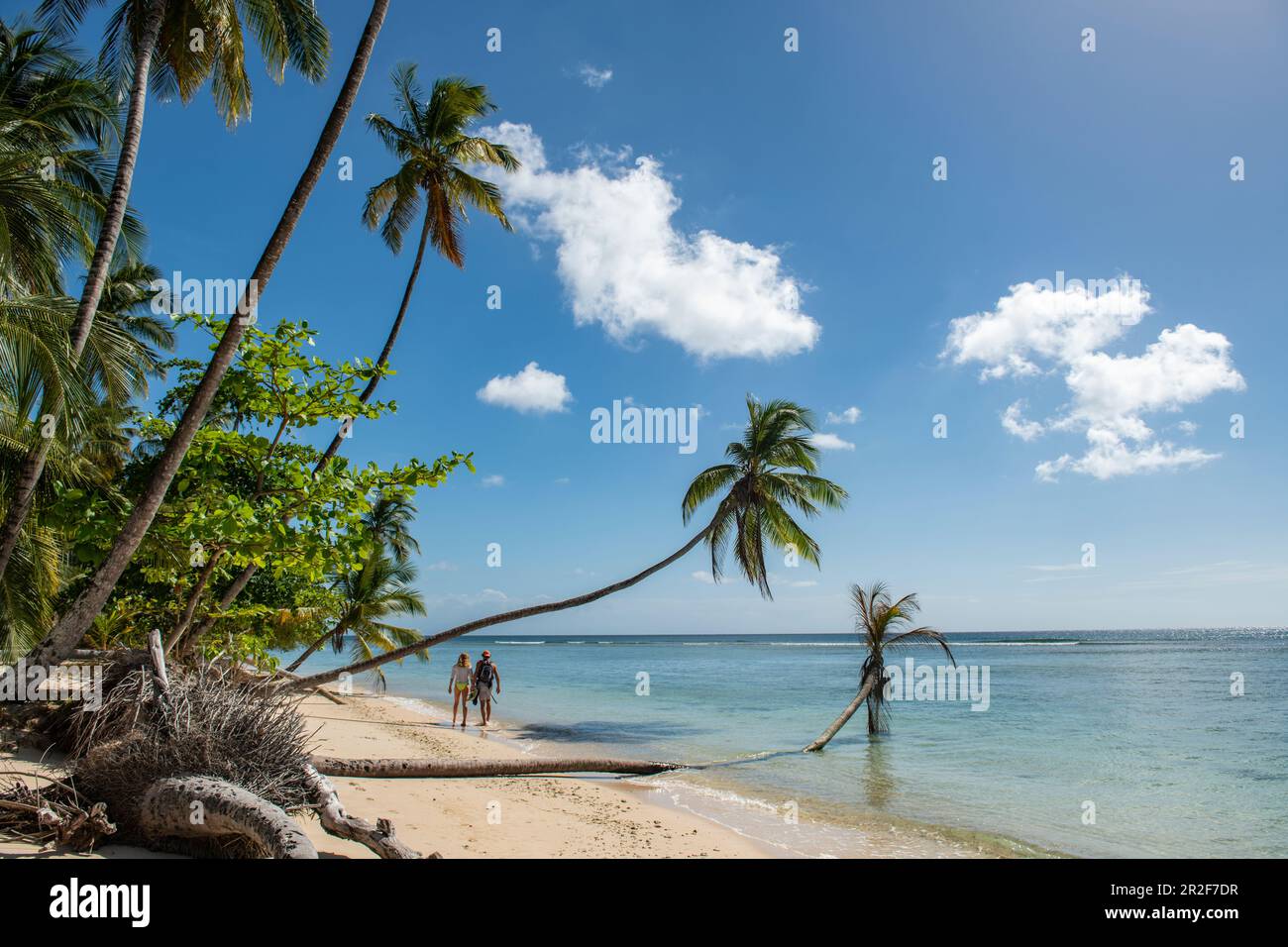 Visto da dietro, due persone corrono lungo una spiaggia di sabbia bianca fiancheggiata da palme, Pigeon Point, Tobago, Trinidad e Tobago, Caraibi Foto Stock