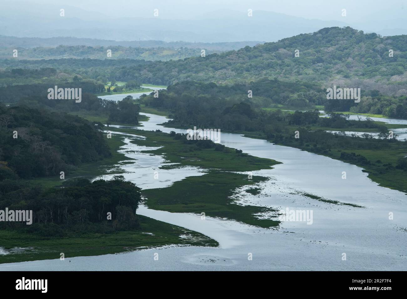 Vista del lago Gatun da una torre in una riserva naturale, vicino a Colon, Panama, America Centrale Foto Stock