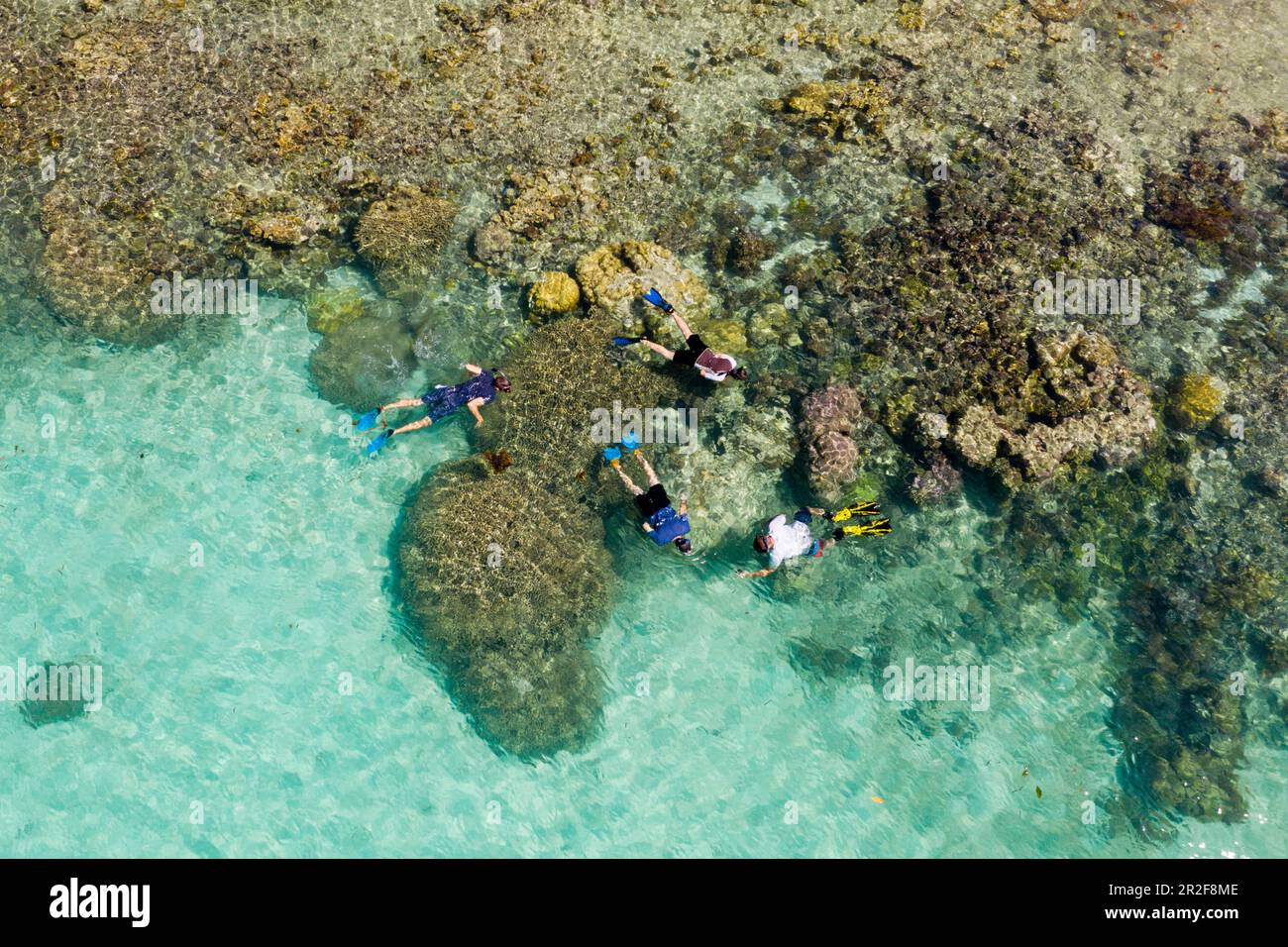 Snorkeling sulla barriera corallina di Lissenung, Nuova Irlanda, Papua Nuova Guinea Foto Stock