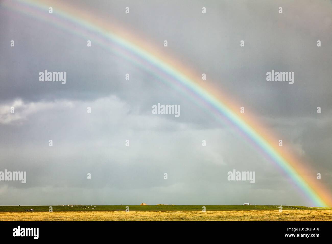 Arcobaleno di umore tempestoso, penisola di Eiderstedt, Frisia settentrionale, Schleswig-Holstein, Germania Foto Stock